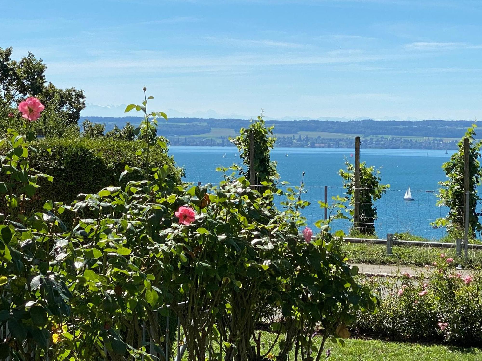Atelierhaus Meersburg